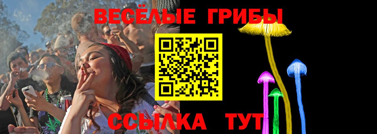 Псилоцибиновые грибы мухоморы Октябрьский